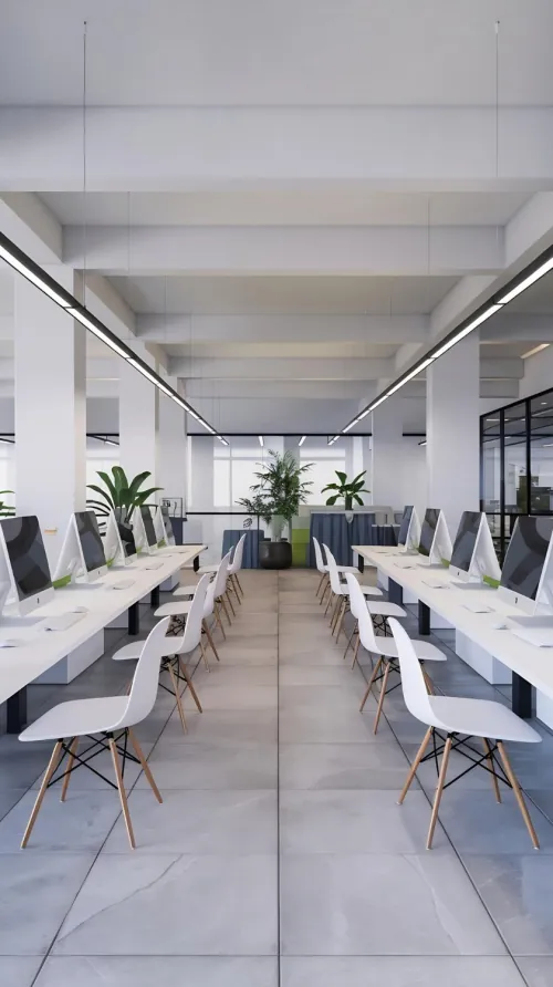Finished open plan office with rows of workstations, glass partitions and planting
