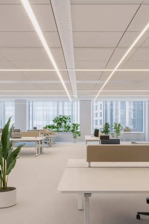 Renovated office suite with new linear lighting, timber desks and planting along the window line
